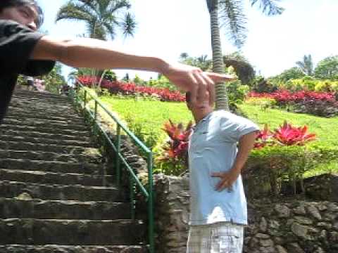 The Begining of 250 steps journey