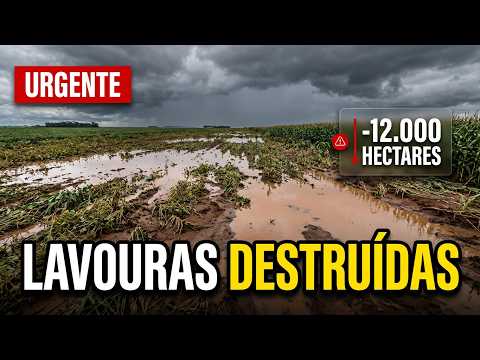 REDAÇÃO - Estragos do Tempo, Acidente em Cantagalo e Fatos do Dia !