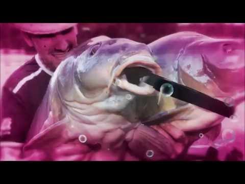 LK BAITS WORLD CARP CORN FRESH BOILIES