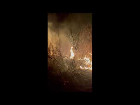 Incendiu vegetație Urlați, cartier Orzoaia de Jos