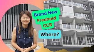 Brand New Freehold Development in CCR. Attractive psf! Limited units f