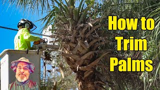 Trimming Palm Trees - Various Trimming Patterns