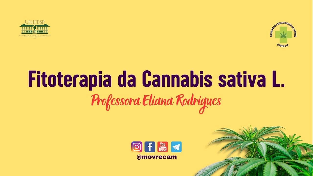 3ª Aula   Fitoterapia da Cannabis sativa L    Professora Eliana Rodrigues