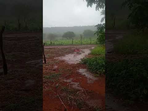 chuva no semi árido piauiense canto do Buriti piaui #paisagemnatural #youtube