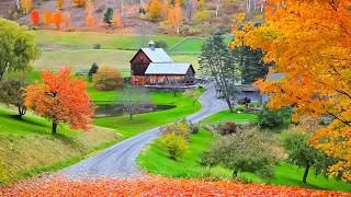 "Autumn Golden Pathway" Beautiful Relaxing Music, Peaceful Soothing Instrumental Music