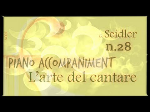 Seidler n.28 - Piano Accompaniment (Play - Along)