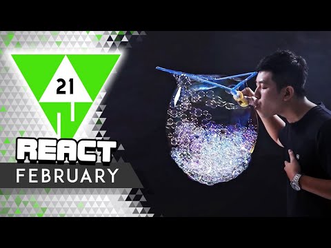 React: Win Compilation Februar 2021