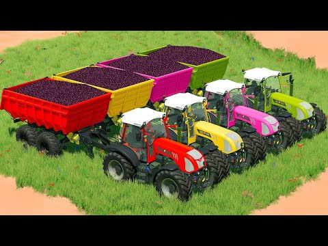 HARVEST  RED CABBAGE AND POTATOES WITH LANDINI & RIGITRAC TRACTORS - Farming Simulator 22