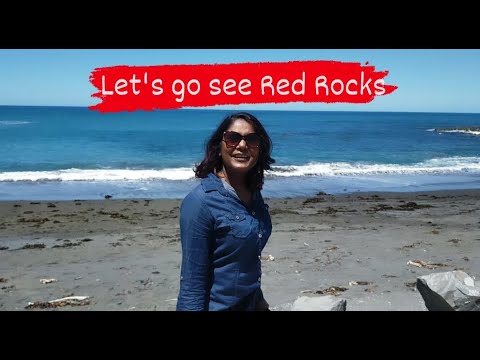 Owhiro Bay and Red Rocks( රතු ගල්) - New Zealand/ English and Sinhala Travel Vlog
