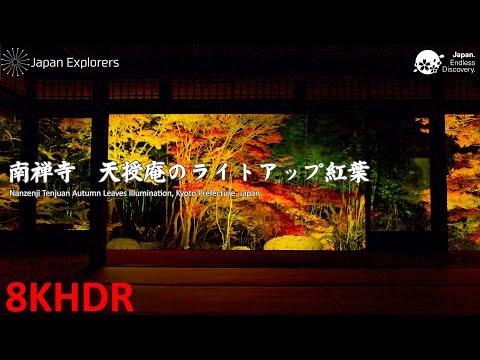 南禅寺 天授庵のライトアップ紅葉 Autumn Leaves of Nanzenji Tenjuan [8KHDR]