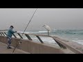 LITTLE EGRET AND FISHERMAN TEL AVIV PORT 1