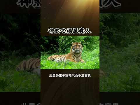 煞神與福星