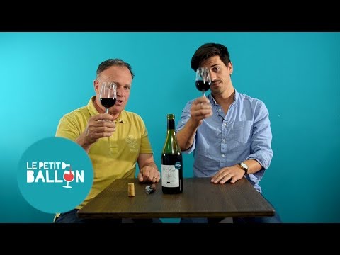 Famille Cros Pujol - O Sud 2016 // Dégustation Le Petit Ballon