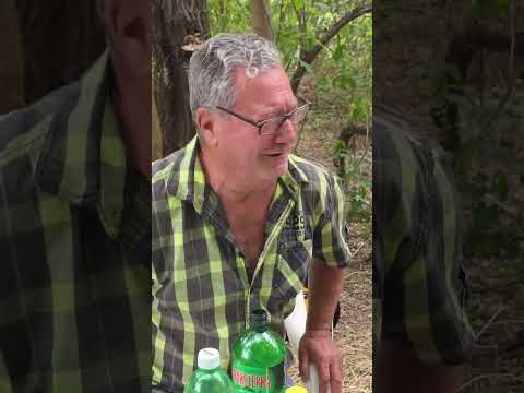 Blaze tebe Mitro - Krume Spasovski