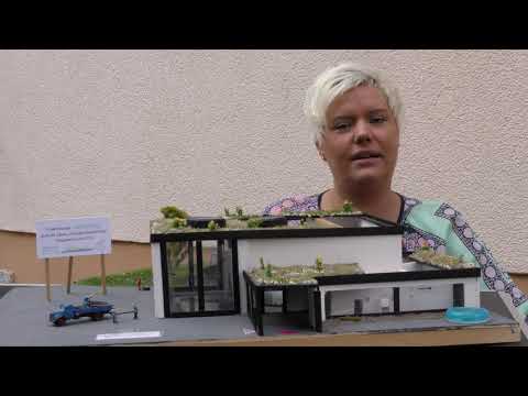 Essener Wünsche: Katharina Freund - Ratskandidatin für Stadtwald und Rellinghausen