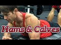Worlds Prep Hams & Calves Week-2
