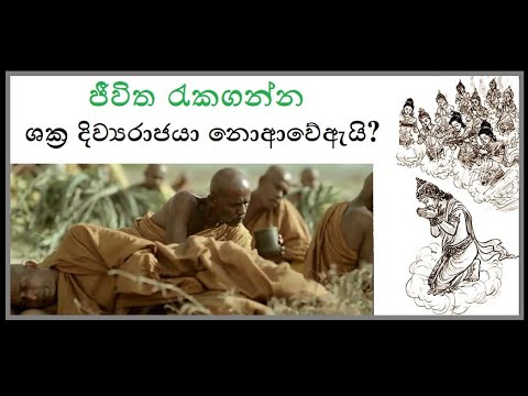 බැමිණිතියා  මහ සායේ දී මහතේරුන්වහන්සේලාගේ ජීවිත රැකගන්න ශක්‍ර දිව්‍යරාජයා නොආවේ ඇයි? Niwanata Pera