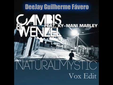 Cambis and Wenzel vs. Lissat & Voltaxx - Natural Mystic (DeeJay Guilherme Vox Edit).wmv