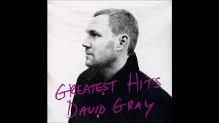 David Gray - Hospital Food (2007 CD Audio)