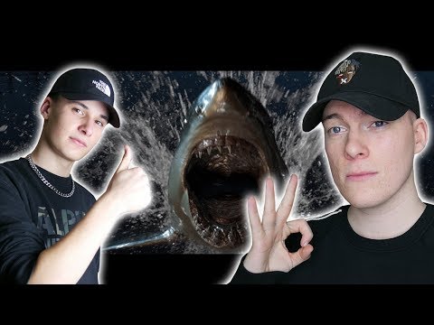 🦈 ALLES PASST: 187 Strassenbande - HaifischNikez Allstars (Official Video) Reaction/Reaktion