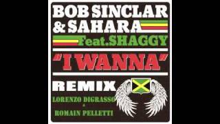 I WANNA BOB SINCLAR & SAHARA Feat SHAGGY REMIX Lorenzo DiGrasso & Romain Pelletti