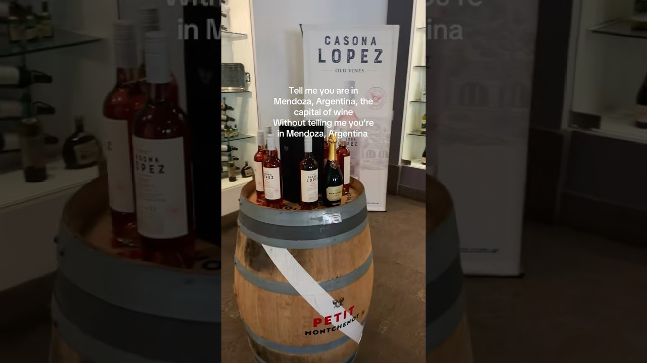 Best Malbec in my life #wine #mendoza #mendozaargentina #argentina #malbec #motovlog #explore