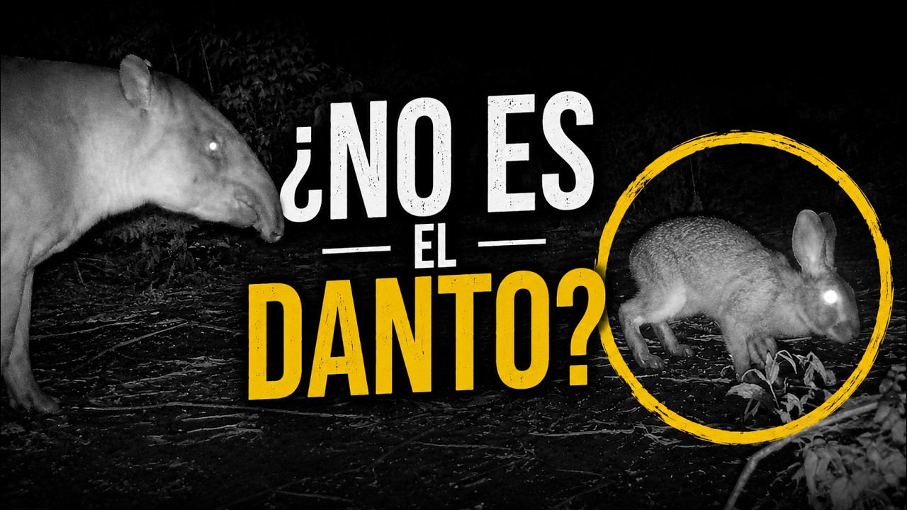 Se creía que era el danto pero las cámaras trampa cuentan otra historia