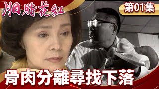 [情報] 中視戲劇花系列「胭脂花紅」上架