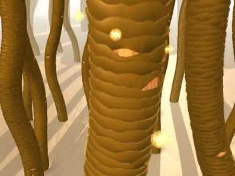 Kerastase Kit Oleo Relax Lleva Los 4 Artículos Envió 