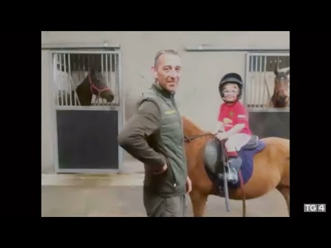 Hector Anseo- Davy Russell, Zoe Conway & John McIntyre, Aidan O'Mahony, Keane Barry, Devanes |TG4 |