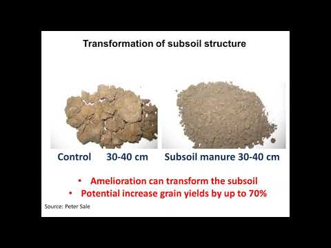 Sodicity and subsoil constraints