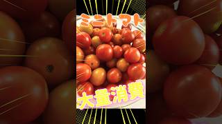 ミニトマト大量消費！！3品作るよ！ #子育て #簡単レシピ #料理 #3兄弟 #家族vlog #レシピ #おつまみ #家族 #おうちごはん #ミニトマト
