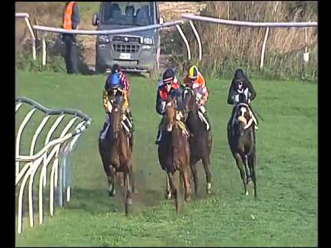 Galoppo 02/12/2015 - 3° corsa