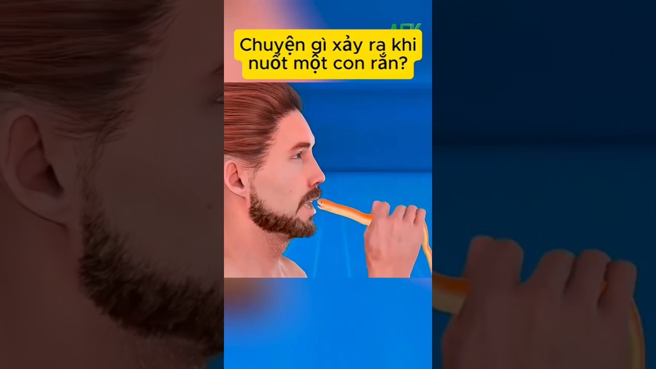 Chuyện gì xảy ra khi nuốt một con rắn còn sống?