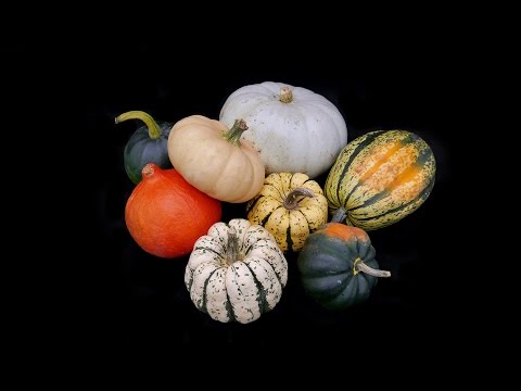Romy Gill Cooks With Squashes