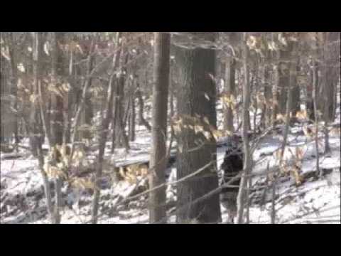 NICK JAVAS - "Beginning to End" Video