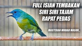 Download lagu MASTERAN CUCAK KINOI GACOR FULL ISIAN SIRI SIRI NEMBAK TAJAM RAPAT PANJANG PEDAS SUARA JERNIH JEDA mp3