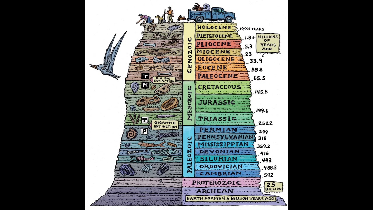 Geological time scale of the Earth #geology #geography #palentology #Historicalgeology #solarsystem