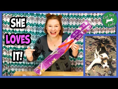Da Bird/Turkey Chaser Wand Toy and Da Mouse Attachment Review and Playtime