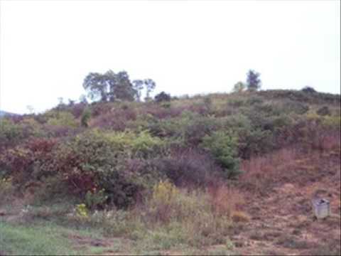 Real Estate For Sale Peterstown, WV $79000