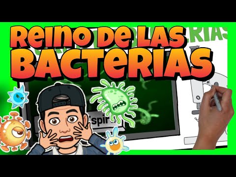 🦠 El REINO de las BACTERIAS o MONERAS para NIÑOS de PRIMARIA