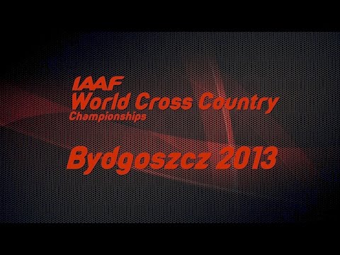 WXC Bydgoszcz 2013 - Highlights