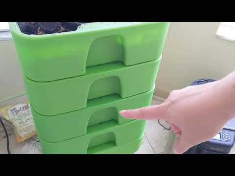 Hot Frog Living Composter Day 288 - Feeding Tiers 3 and 4 - Vermicomposting