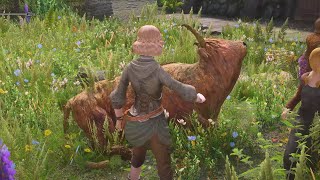 Skyrim mods: Petting Animals, Flesh FX and More