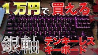 【１万円で買える】コスパ最強で銀軸でテンキーレスのキーボードってほかにある？【株式会社タイムリー】【フォートナイト】