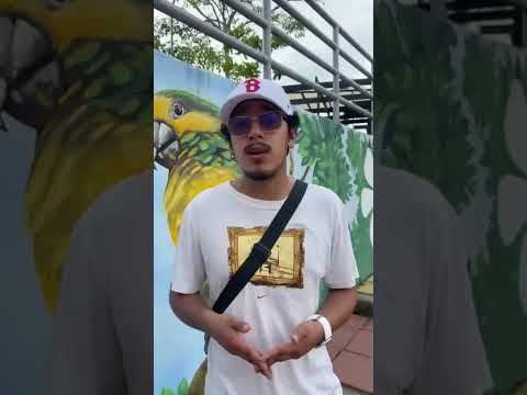 WhatsApp Video 2026 06 01 at 12 55 23 PM