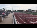 100m hurdles