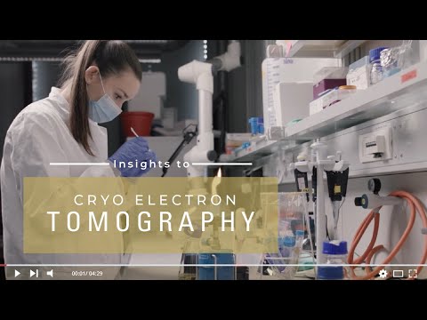 Cryo-electron microscopy lab at Goethe-University