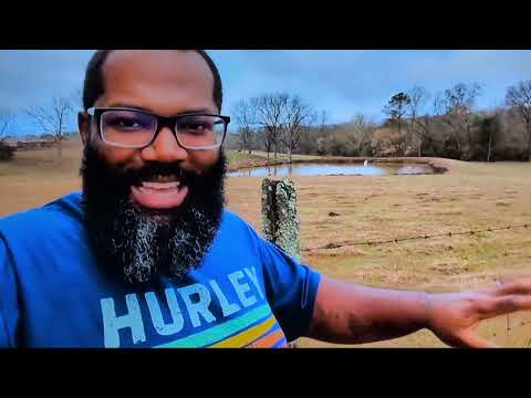 IAG FARMS YOU LIED ABOUT YOUR LIFE TODAY BUT I GOT THIS