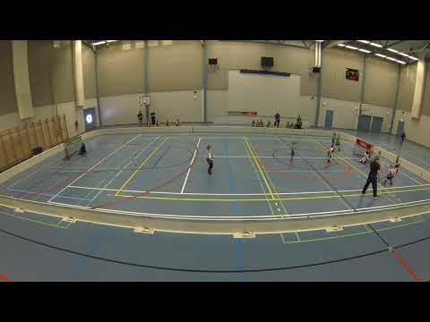 11.3-18 Mäntykallio sarja 09-12. Peli klo 13:30 Duo lila - Lievestuoreen Kisa